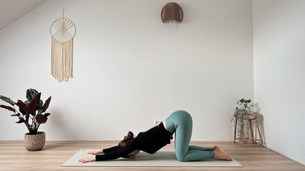 20 MIN YOGA FLOW || Fokus auf Rücken, Schultern & Balance – für Morgens, Abends oder Zwischendurch