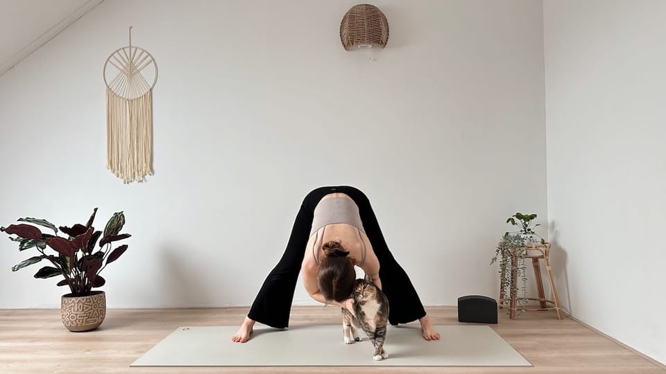 20 MIN SLOW FLOW || Yoga Stretch am Morgen – Wachwerden, Dehnen & Entspannen